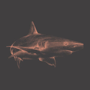 Shark Design - Mens Faded Tee Design